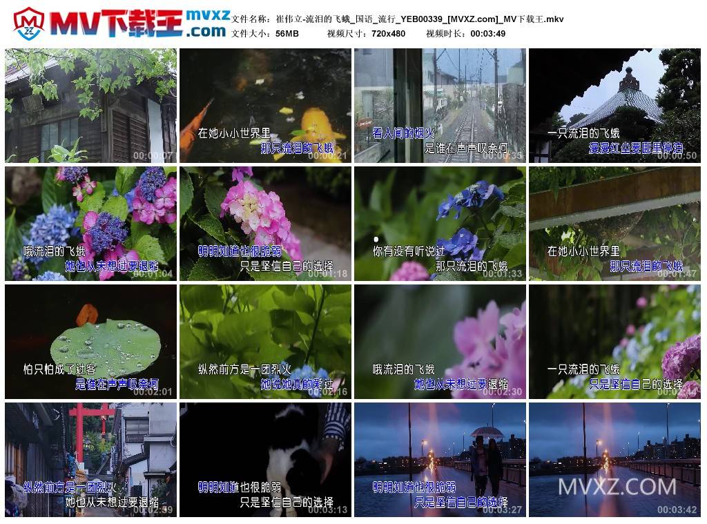 崔伟立-流泪的飞蛾_国语_流行_YEB00339